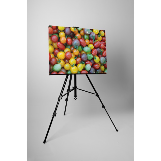 Sokszínű paradicsomok