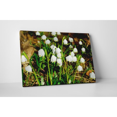 Egy csokor hóvirág