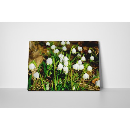 Egy csokor hóvirág