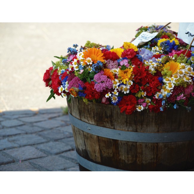 Szivárvány egy hordóban