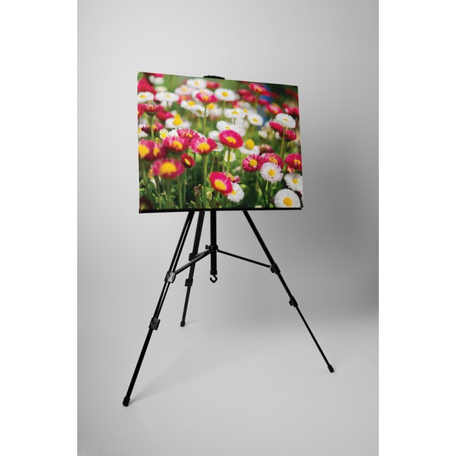 Apró színes margaréták