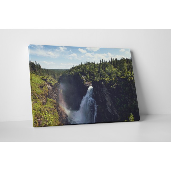 A természet sodrása