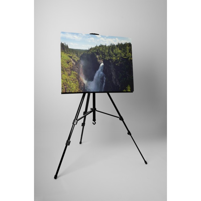 A természet sodrása