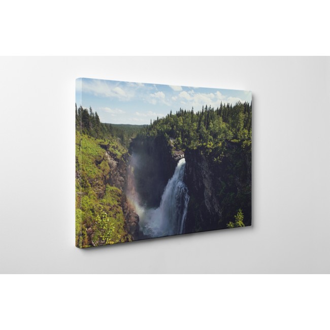 A természet sodrása