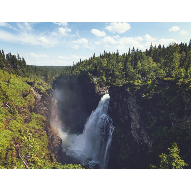 A természet sodrása