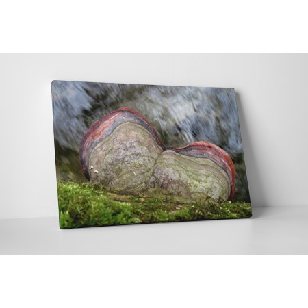 Természetes kontraszt