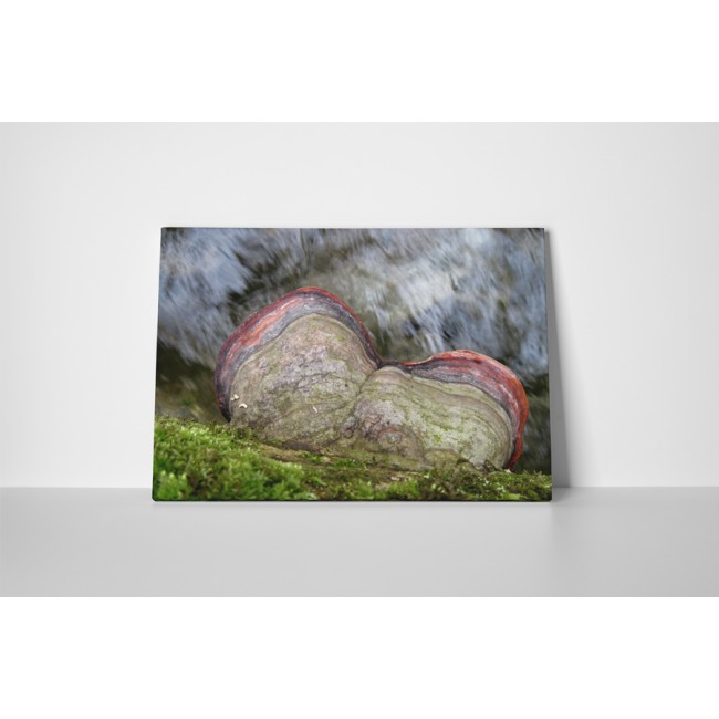 Természetes kontraszt