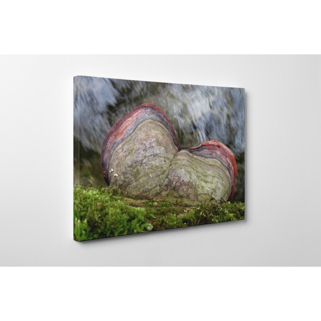 Természetes kontraszt