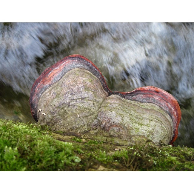 Természetes kontraszt