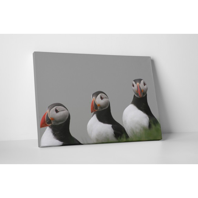 Atlanti lunda csoport