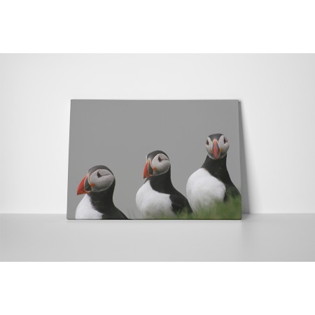 Atlanti lunda csoport