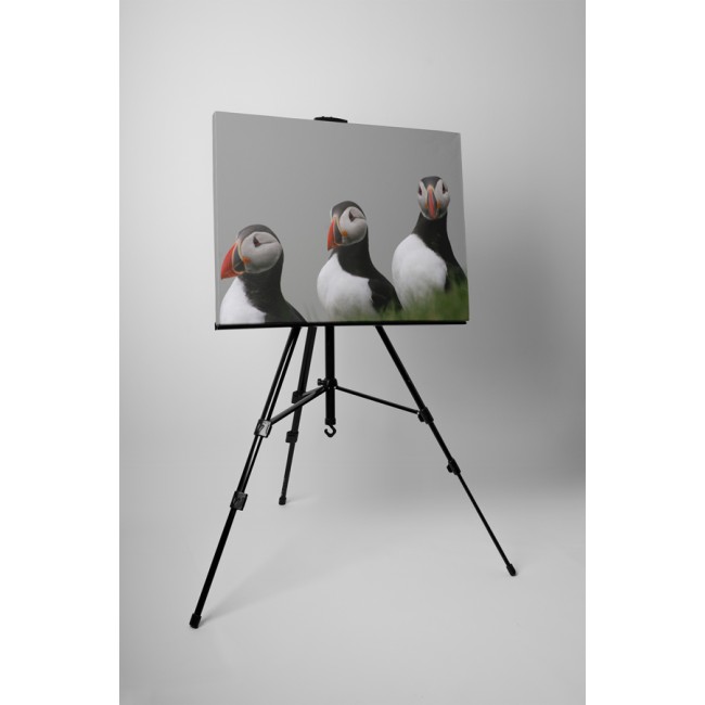 Atlanti lunda csoport