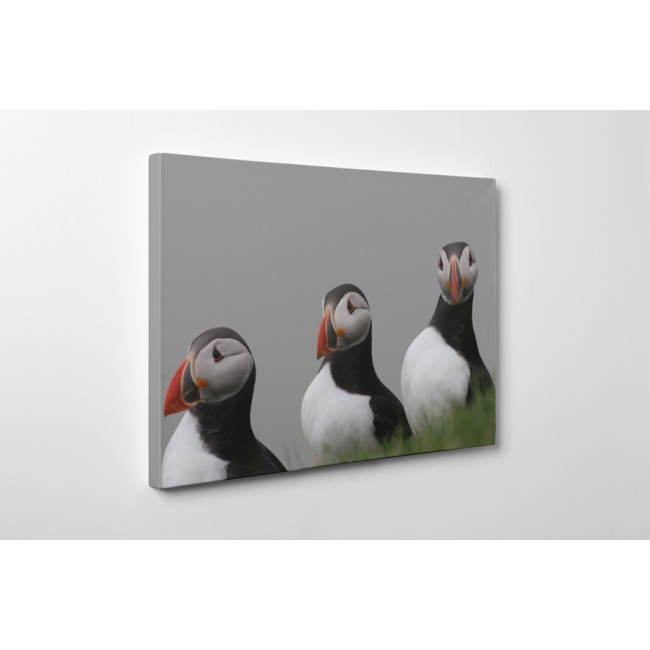 Atlanti lunda csoport