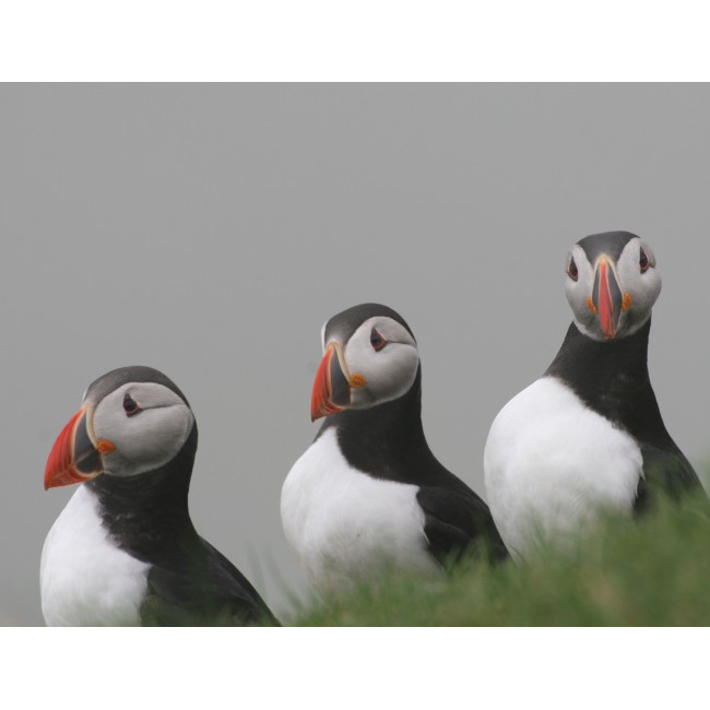 Atlanti lunda csoport