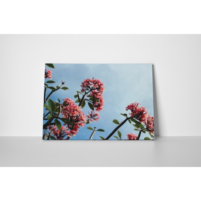 Rózsaszín apró virágok