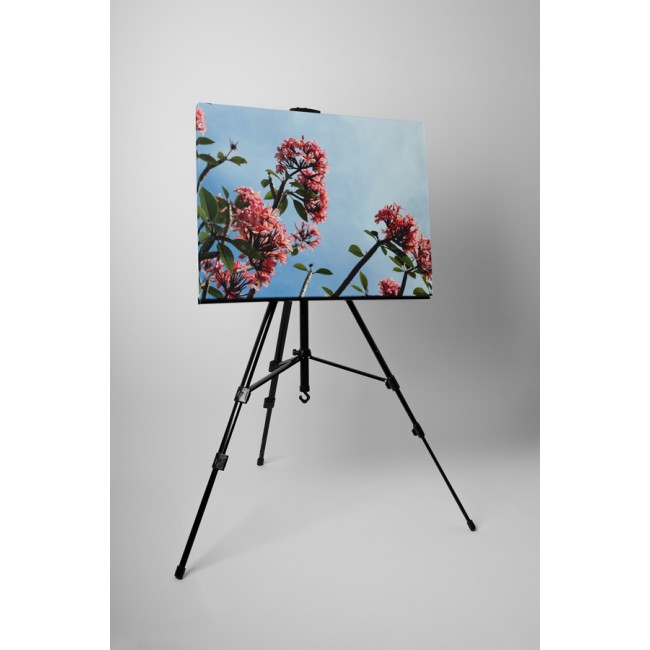 Rózsaszín apró virágok