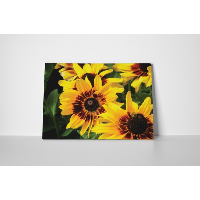 A legszebb sárga gerbera