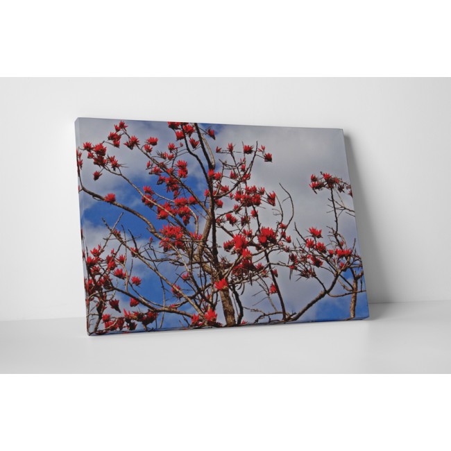 Virágzó fa a magasban