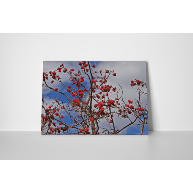 Virágzó fa a magasban