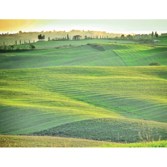 Hullámos mező a távolban