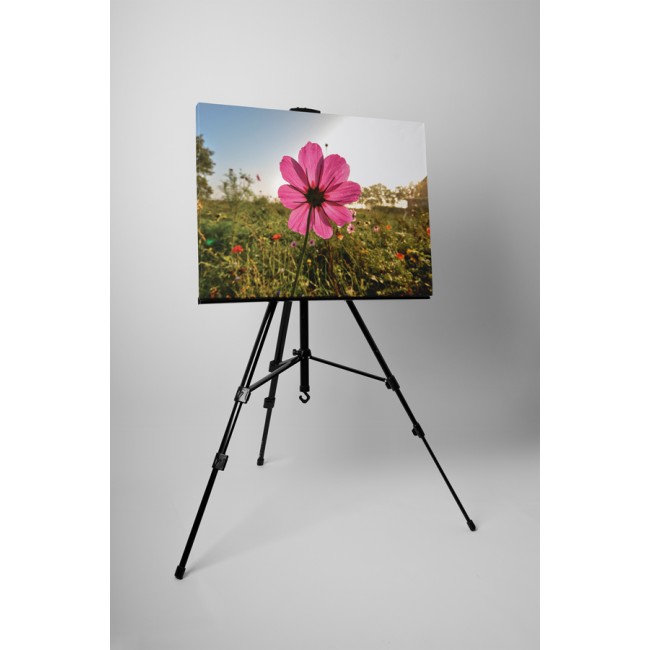 Rózsaszín mezei virág