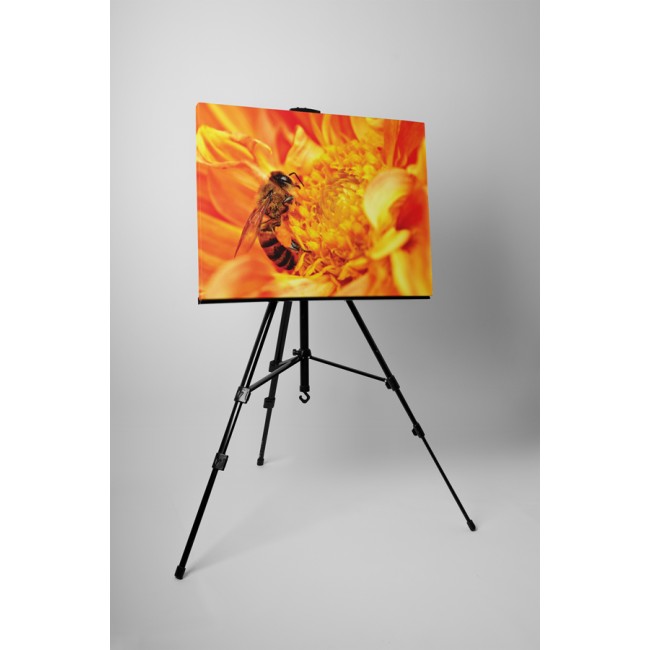 Szorgos méhecske a virágon