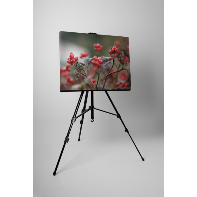 Érett csipkebogyó bokor