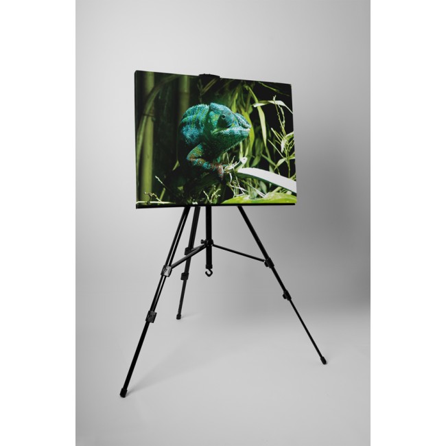 Bújkáló kaméleon