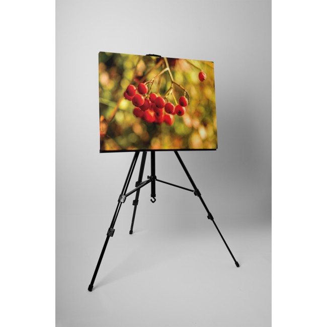 Madárbirs reggelente