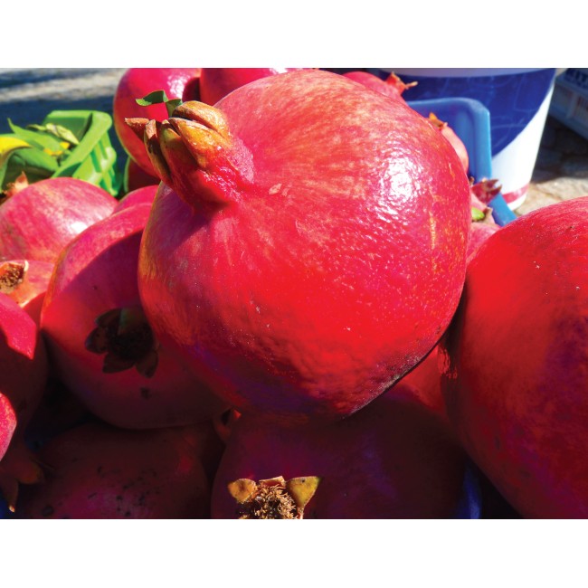 Gránátalma közelről