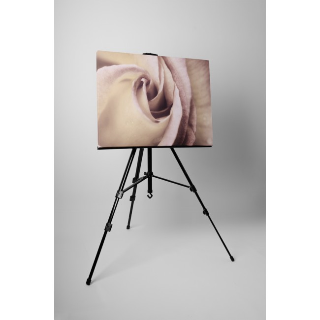 Elegáns rózsabimbó