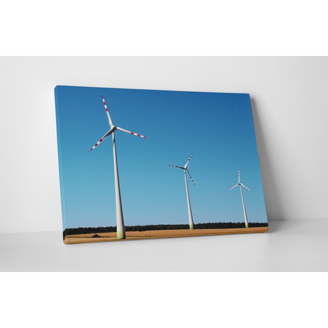 A szélenergia termelői