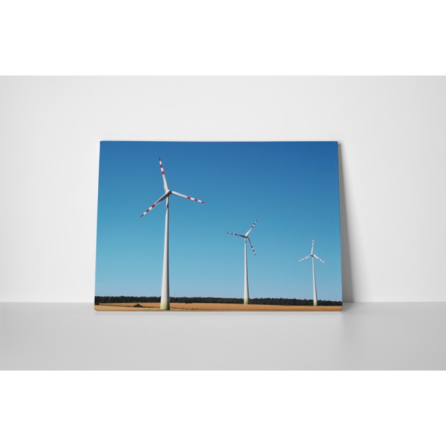 A szélenergia termelői