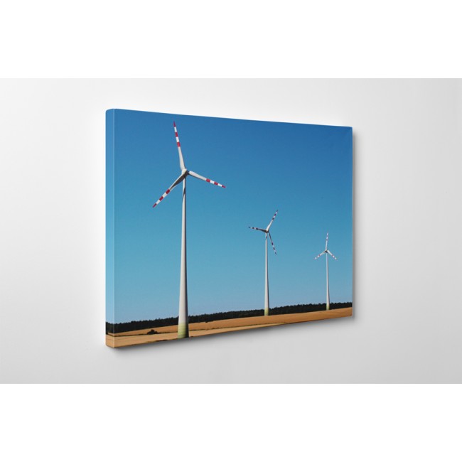 A szélenergia termelői