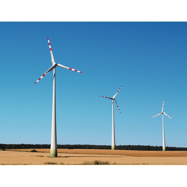 A szélenergia termelői