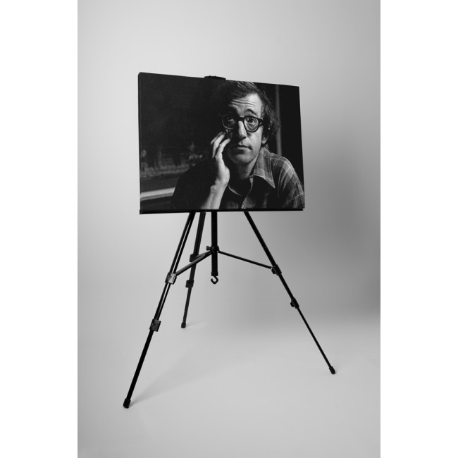 Woody Allen fiatalon