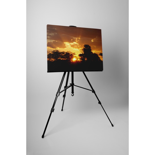 Áttörő napsugarak