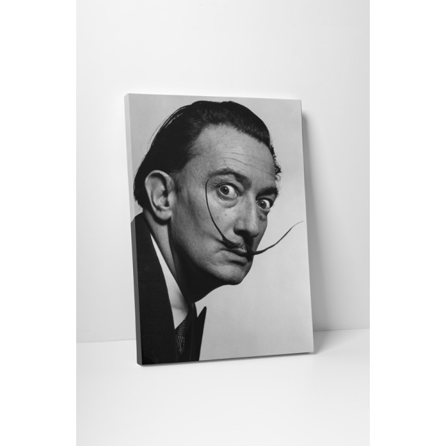 Salvador Dali portré