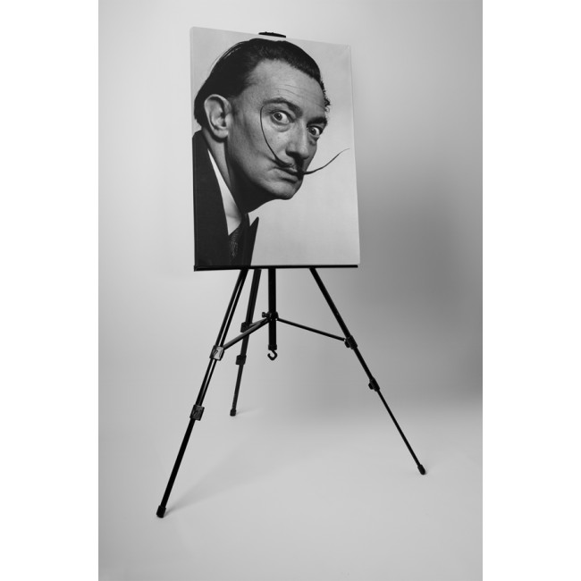 Salvador Dali portré