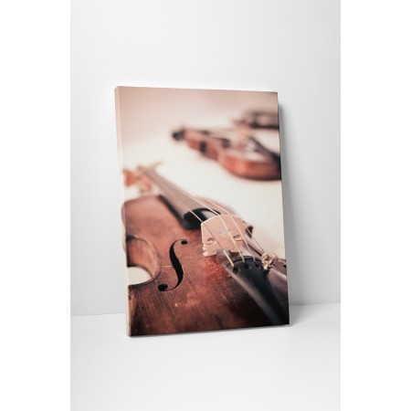 A hegedülés művészete