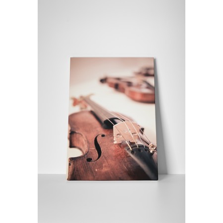 A hegedülés művészete