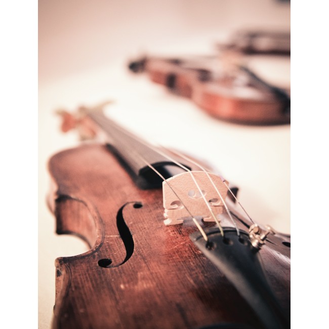 A hegedülés művészete