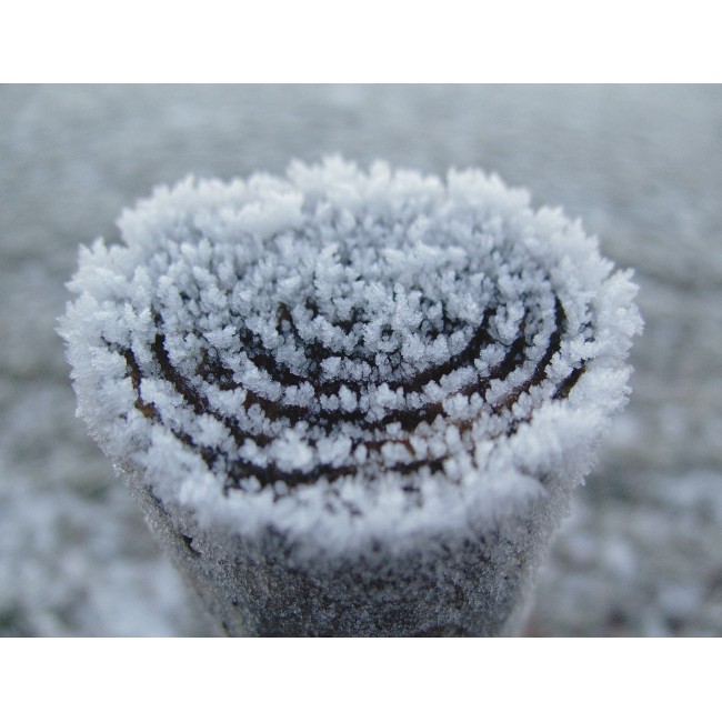 Hullámos deresedés