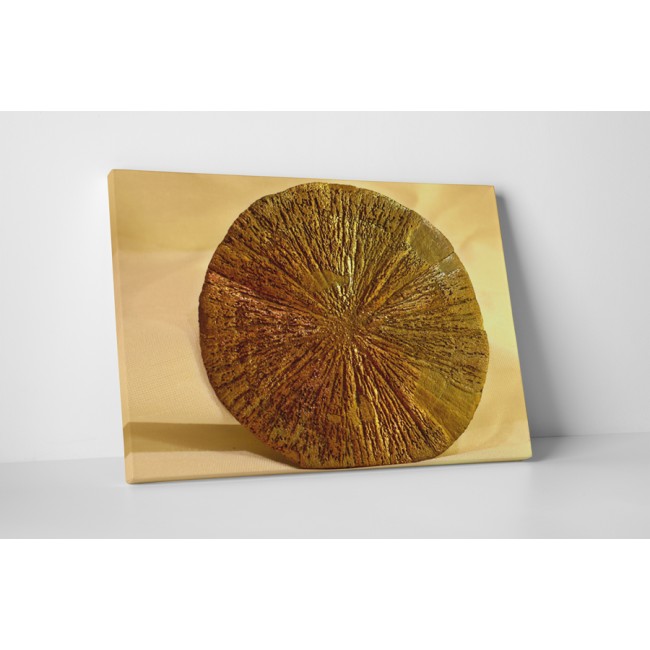 Pirit keresztmetszet