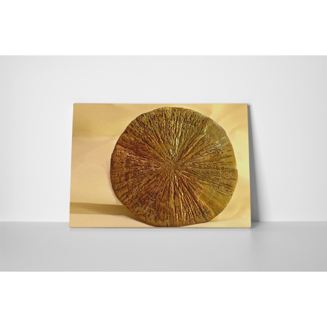 Pirit keresztmetszet