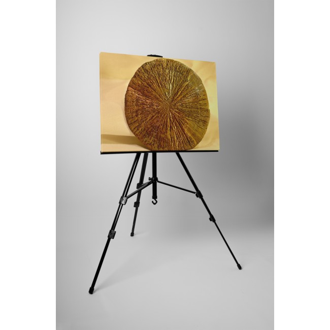 Pirit keresztmetszet