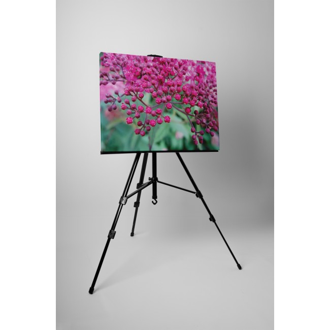 Apró rózsaszín virágok