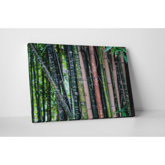 Fába vésett emlékek