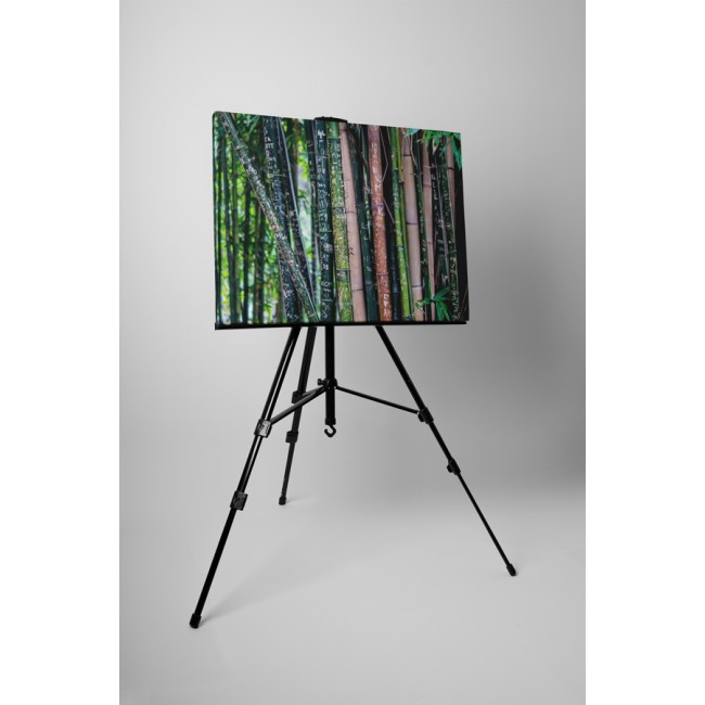 Fába vésett emlékek