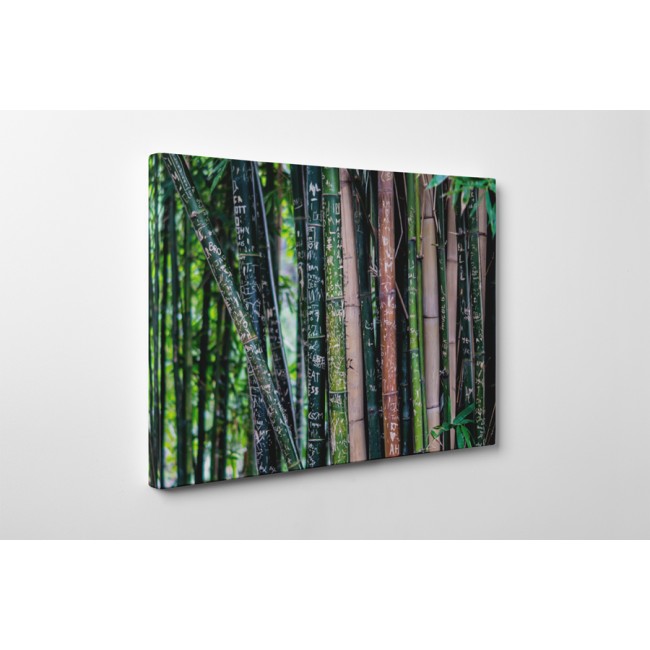 Fába vésett emlékek